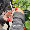 송파구, ‘딸기농장 봄나들이’로 치매어르신 마음 치유